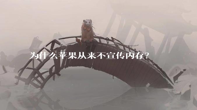 为什么苹果从来不宣传内存？