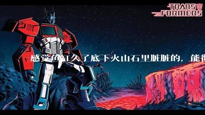 感觉鱼缸久了底下火山石里脏脏的，能彻底换水清理一遍不？
